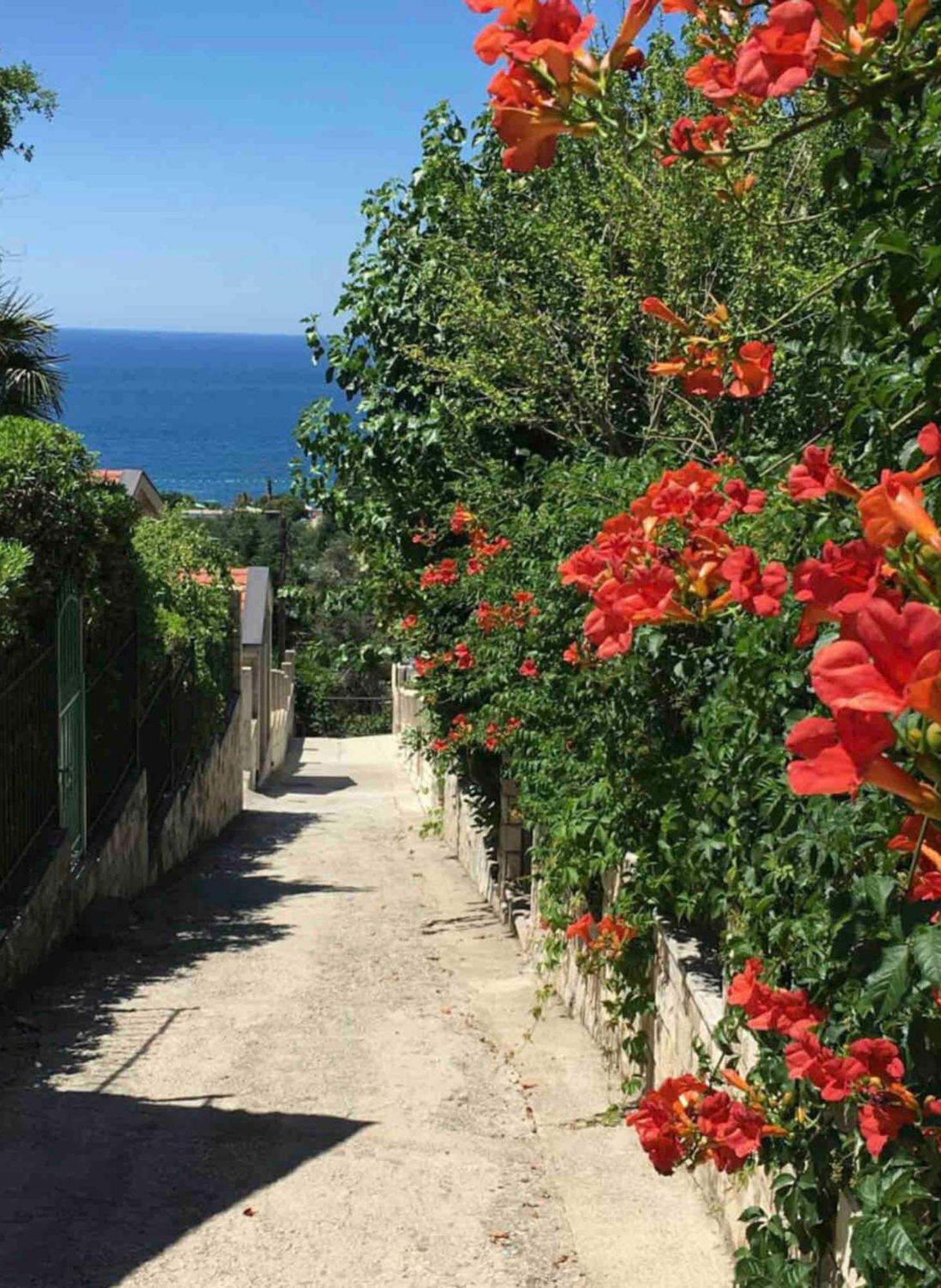 Petrovac Bay View Apartments מראה חיצוני תמונה