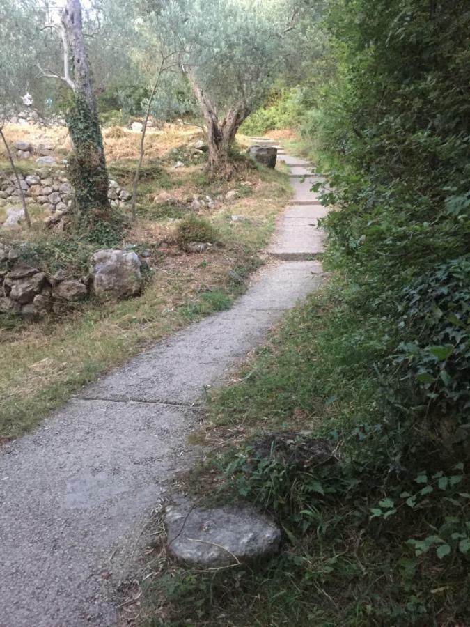 Petrovac Bay View Apartments מראה חיצוני תמונה